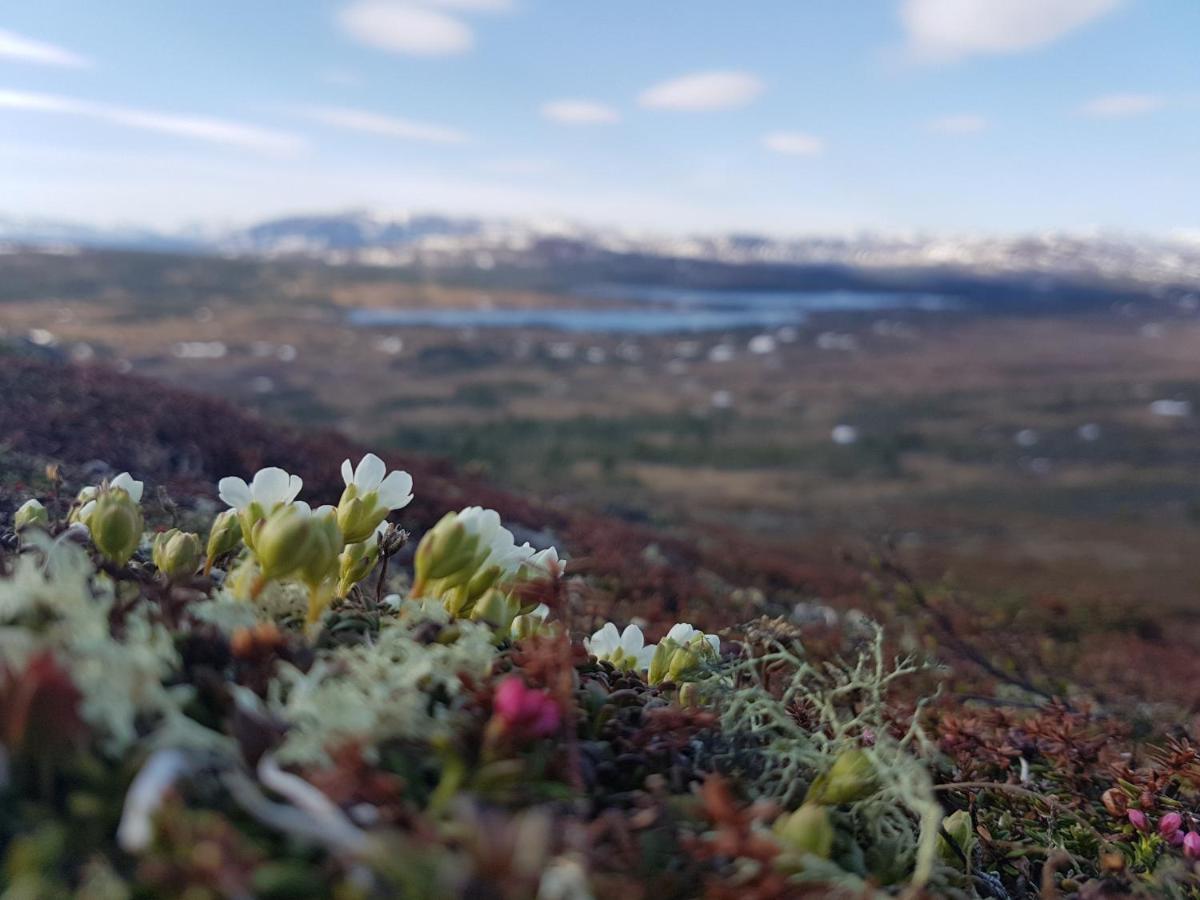 Renfjaellsgarden Hostel Edsasdalen ภายนอก รูปภาพ