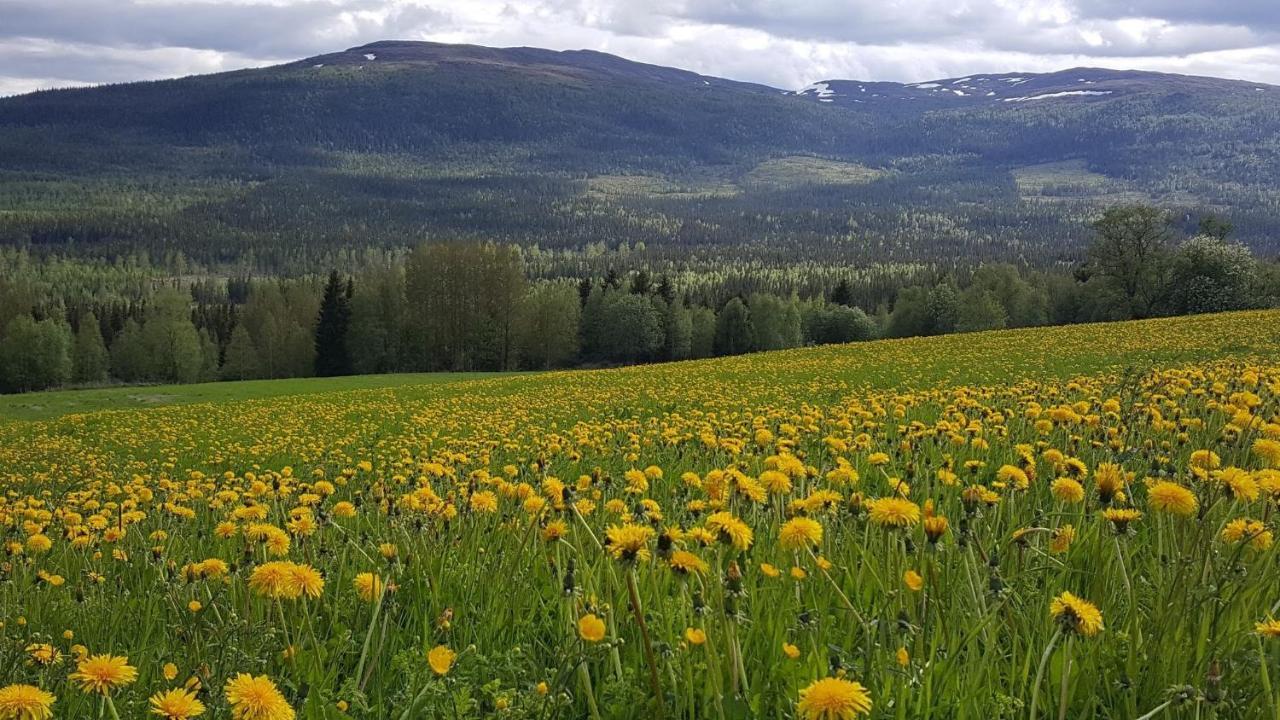 Renfjaellsgarden Hostel Edsasdalen ภายนอก รูปภาพ