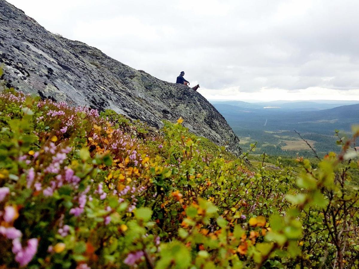 Renfjaellsgarden Hostel Edsasdalen ภายนอก รูปภาพ