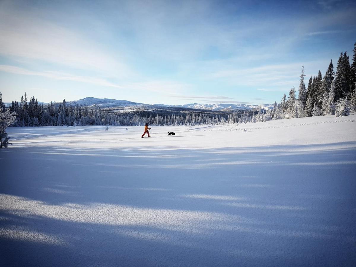 Renfjaellsgarden Hostel Edsasdalen ภายนอก รูปภาพ